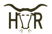 Hurricane Valley Ranger logo