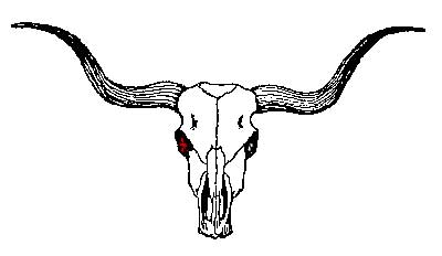 Cowskull