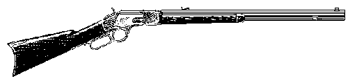 Winchester 1873 image