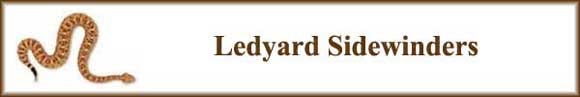 Header banner for the Ledyard Sidewinders.