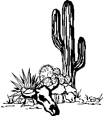 Cactus and skull