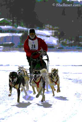 Sled Dog Man in action.